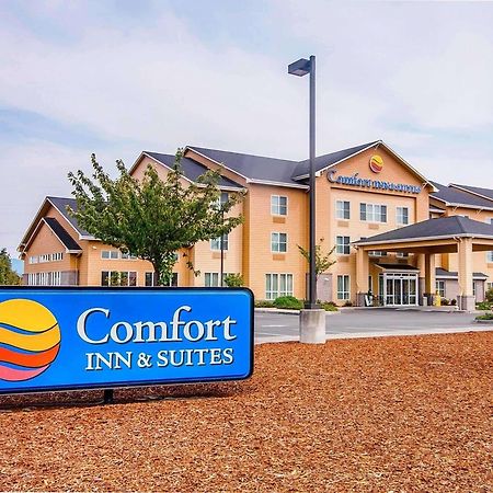 Comfort Inn & Suites Creswell Dış mekan fotoğraf